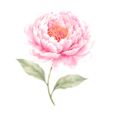 Watercolor pink peony flower